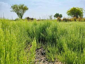 姫路IKサービス